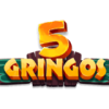 5Gringos1.com Review
